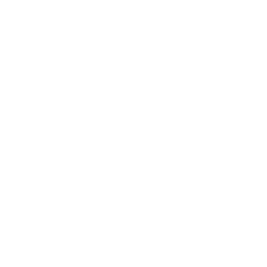 rabit